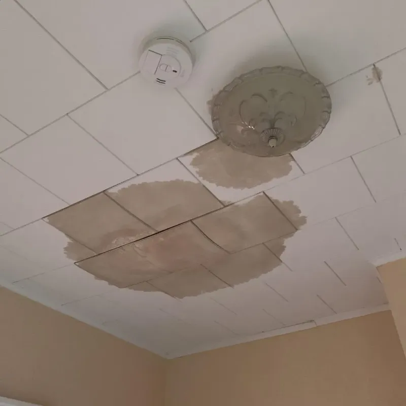 Ceiling Water Damage Repair in North Hampton, NH